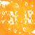 Licosperse Orange 30
