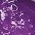 Hostatint Violet A-RL 100